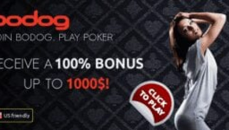 Bodog – Nhà cái cá cược quốc tế dành cho game thủ đam mê các thể loại game cá cược